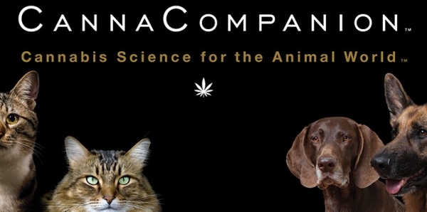 canna companion animals