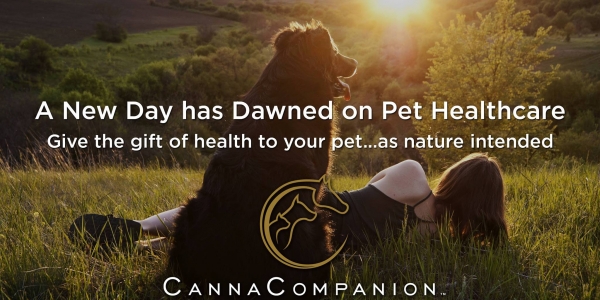 canna companion animals cannabis cat girl