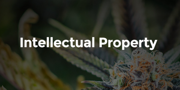 thclegal intellectual property cannabis industry