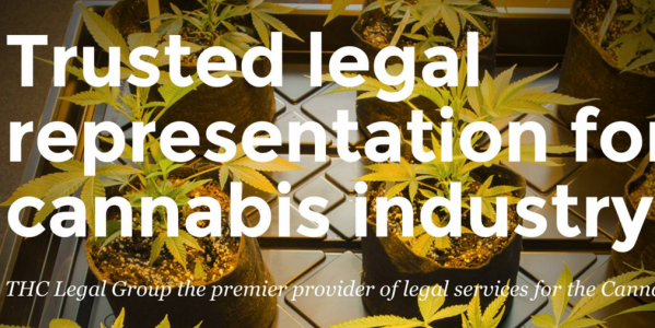 thclegalgroup legal services cannabis industry trusted representation