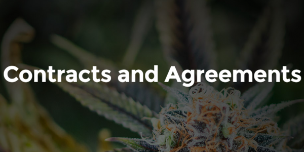 thclegalgroup thc cannabis legal industry contracts agreements
