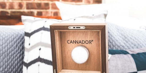 cannador bed box wooden cannabis